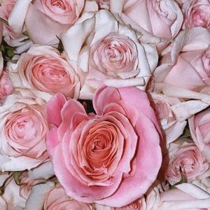 Follow Me On Instagram @Lovekeirah